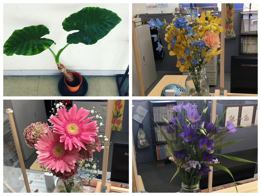 観光通り校のお花&観葉植物をご紹介!
