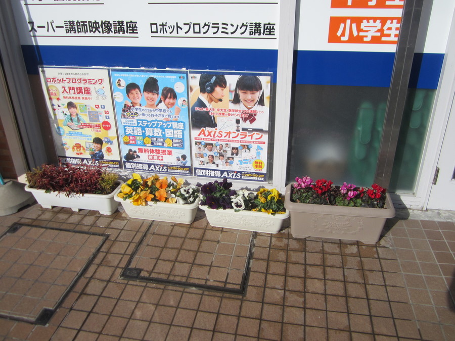 春が来ますように!