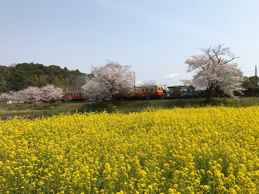市原市を南北に走る小湊鉄道が好きです!【飯給(いたぶ)駅】