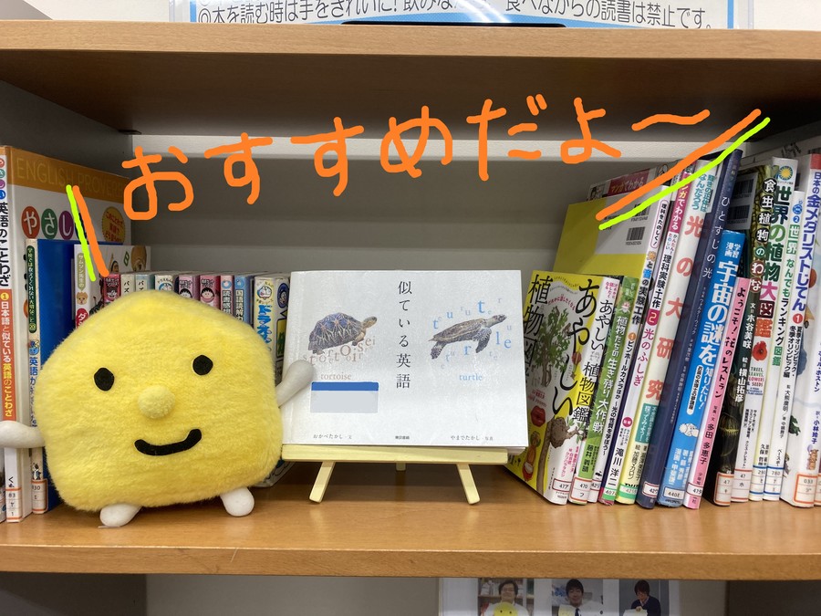 新しい本、入りました!
