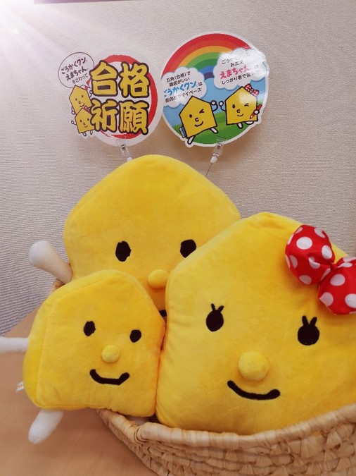 今週から受験が開始‼