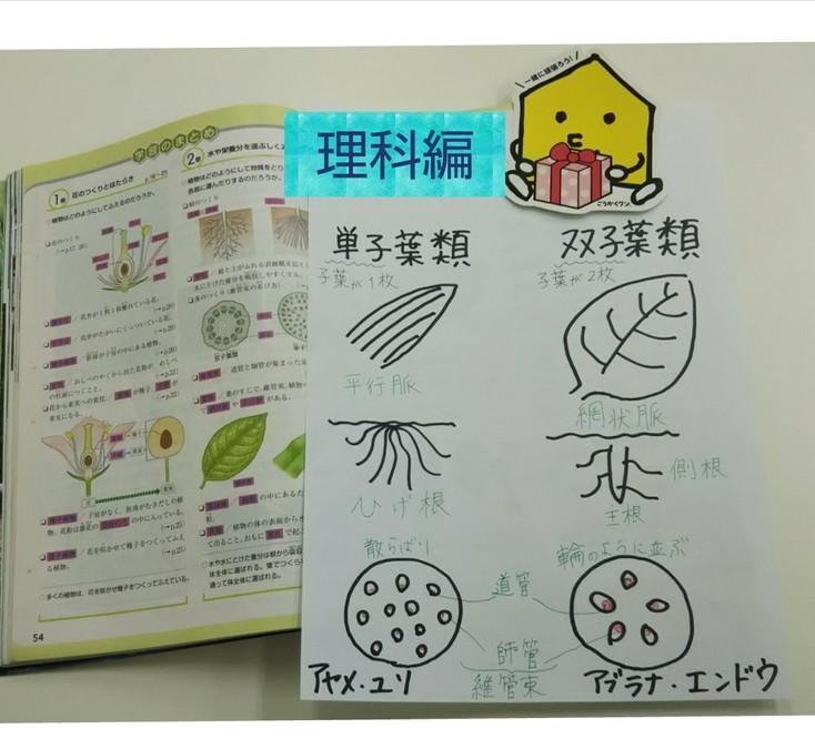 今津中学・真砂中学のみなさま<br />
【中学生向け】勉強方法・理科編