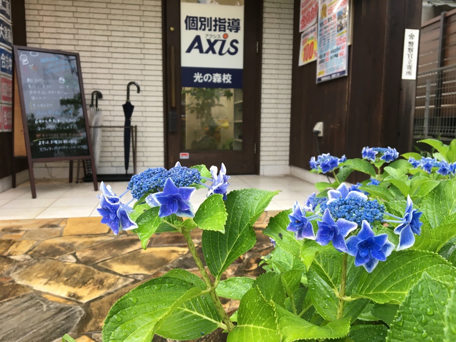 夏に向けて、Axis 光の森校は 加速していきます!
