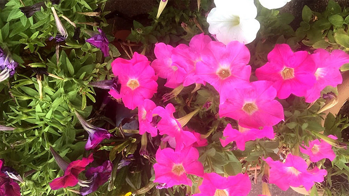 個別指導Axis(アクシス) 千葉新宿校の画像5