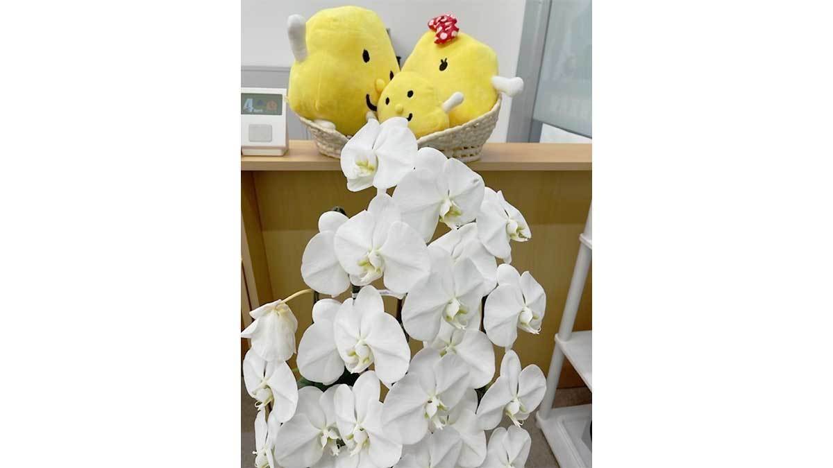 個別指導Axis(アクシス) 本諫早駅前校の画像5